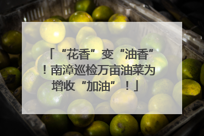 “花香”变“油香”！南漳巡检万亩油菜为增收“加油”！