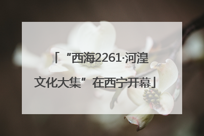 “西海2261·河湟文化大集”在西宁开幕