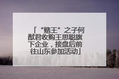 “赌王”之子何猷君收购王思聪旗下企业，接盘后前往山东参加活动