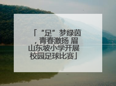 “足”梦绿茵，青春激扬 眉山东坡小学开展校园足球比赛