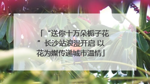 “送你十万朵栀子花”长沙站浪漫开启 以花为媒传递城市温情