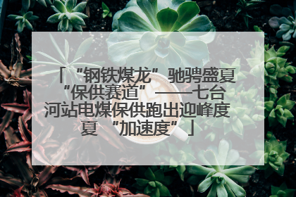 “钢铁煤龙”驰骋盛夏 “保供赛道”——七台河站电煤保供跑出迎峰度夏 “加速度”