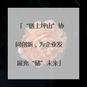 “链上坪山”协同创新，为企业发展充“储”未来