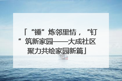 “锤”炼邻里情，“钉”筑新家园——大成社区聚力共绘家园新篇