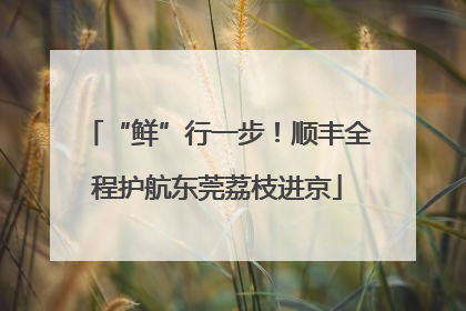 “鲜”行一步！顺丰全程护航东莞荔枝进京