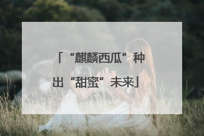 “麒麟西瓜”种出“甜蜜”未来