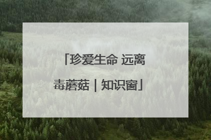 珍爱生命 远离毒蘑菇｜知识窗
