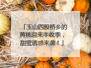 玉山四股桥乡的黄桃迎来丰收季，甜蜜诱惑来袭！