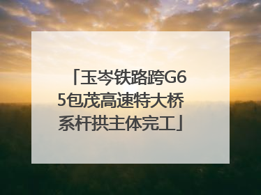 玉岑铁路跨G65包茂高速特大桥系杆拱主体完工