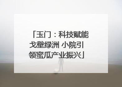 玉门：科技赋能戈壁绿洲 小院引领蜜瓜产业振兴