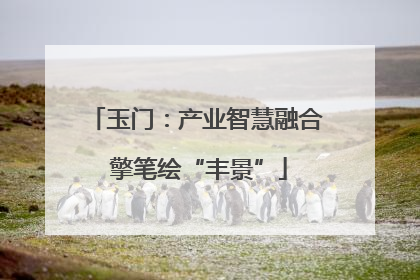 玉门：产业智慧融合 擎笔绘“丰景”