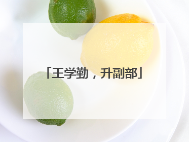 王学勤，升副部
