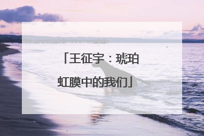 王征宇：琥珀虹膜中的我们