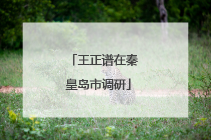 王正谱在秦皇岛市调研