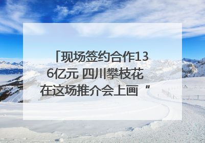 现场签约合作136亿元 四川攀枝花在这场推介会上画“图谱”列“清单”