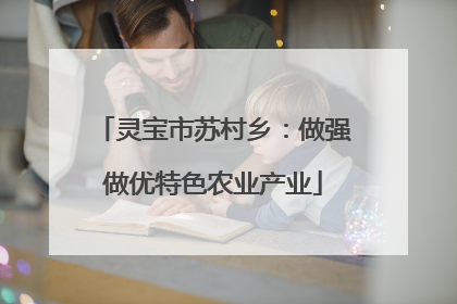 灵宝市苏村乡：做强做优特色农业产业