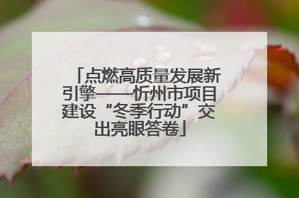 点燃高质量发展新引擎——忻州市项目建设“冬季行动”交出亮眼答卷