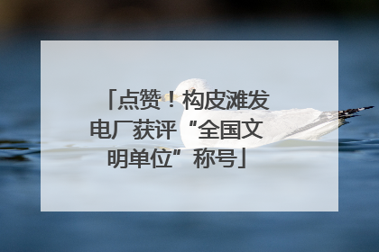 点赞！构皮滩发电厂获评“全国文明单位”称号