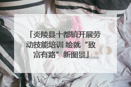 炎陵县十都镇开展劳动技能培训 绘就“致富有路”新图景