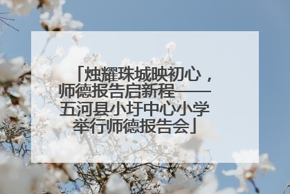 烛耀珠城映初心，师德报告启新程——五河县小圩中心小学举行师德报告会