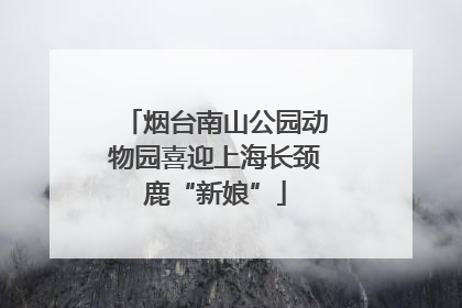 烟台南山公园动物园喜迎上海长颈鹿“新娘”