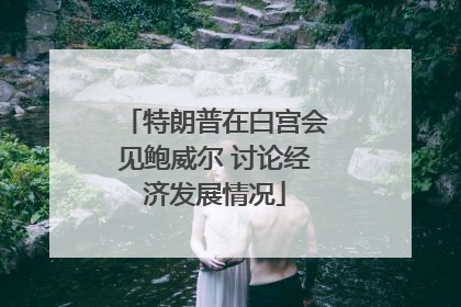 特朗普在白宫会见鲍威尔 讨论经济发展情况