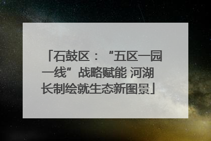 石鼓区：“五区一园一线”战略赋能 河湖长制绘就生态新图景