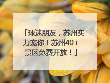 球迷朋友，苏州实力宠你！苏州40+景区免费开放！