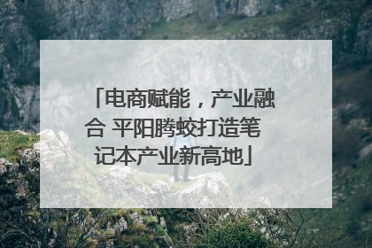 电商赋能，产业融合 平阳腾蛟打造笔记本产业新高地