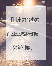 甘肃灵台小麦产业点燃乡村振兴新引擎