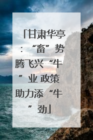 甘肃华亭：“畜”势腾飞兴“牛”业 政策助力添“牛”劲