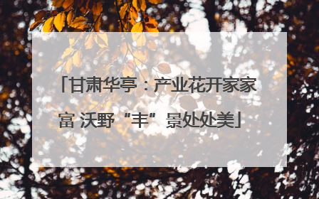 甘肃华亭：产业花开家家富 沃野“丰”景处处美