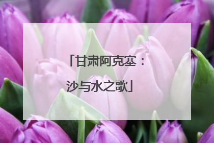 甘肃阿克塞：沙与水之歌