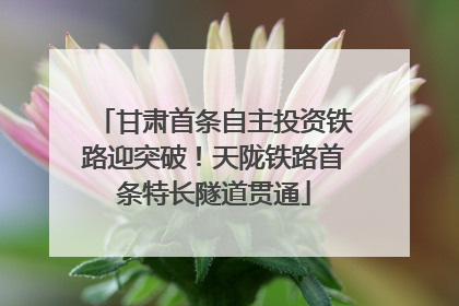 甘肃首条自主投资铁路迎突破！天陇铁路首条特长隧道贯通