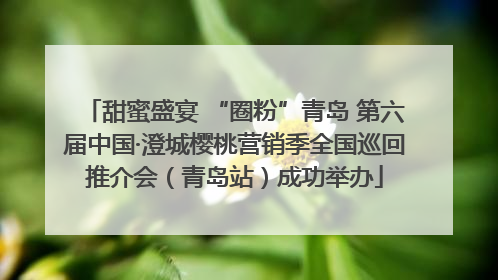 甜蜜盛宴 “圈粉”青岛 第六届中国·澄城樱桃营销季全国巡回推介会（青岛站）成功举办