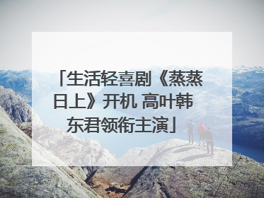 生活轻喜剧《蒸蒸日上》开机 高叶韩东君领衔主演