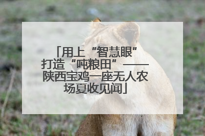 用上“智慧眼” 打造“吨粮田”——陕西宝鸡一座无人农场夏收见闻