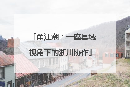 甬江潮：一座县域视角下的浙川协作