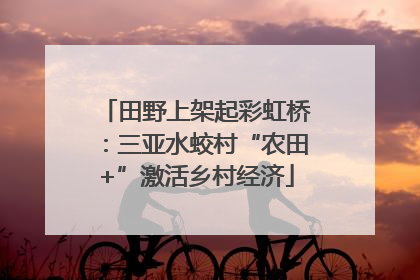 田野上架起彩虹桥：三亚水蛟村“农田+”激活乡村经济