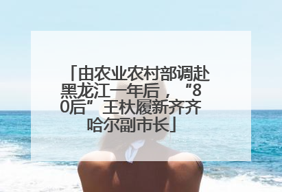 由农业农村部调赴黑龙江一年后，“80后”王杕履新齐齐哈尔副市长