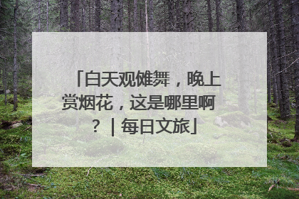 白天观傩舞，晚上赏烟花，这是哪里啊？｜每日文旅
