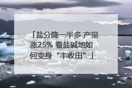 盐分降一半多 产量涨25% 看盐碱地如何变身“丰收田”