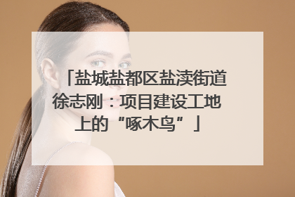 盐城盐都区盐渎街道徐志刚：项目建设工地上的“啄木鸟”