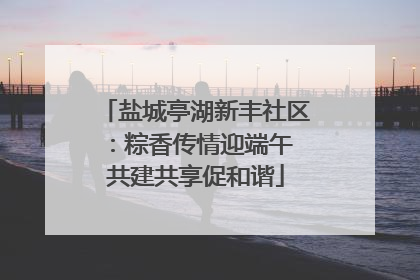 盐城亭湖新丰社区：粽香传情迎端午 共建共享促和谐
