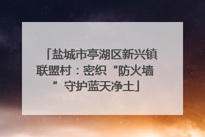 盐城市亭湖区新兴镇联盟村：密织“防火墙”守护蓝天净土