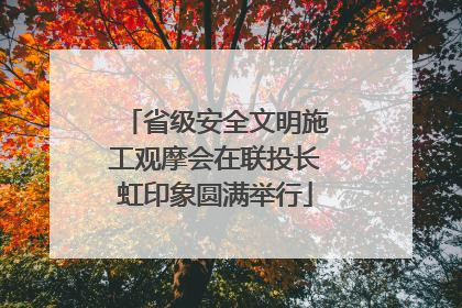 省级安全文明施工观摩会在联投长虹印象圆满举行