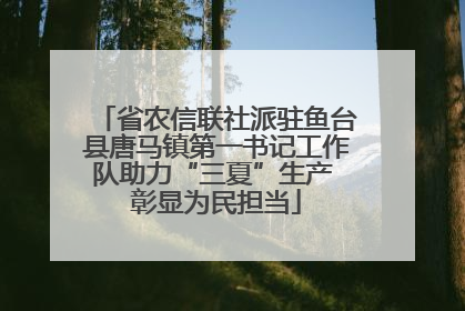 省农信联社派驻鱼台县唐马镇第一书记工作队助力“三夏”生产 彰显为民担当