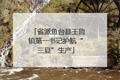 省派鱼台县王鲁镇第一书记护航“三夏”生产