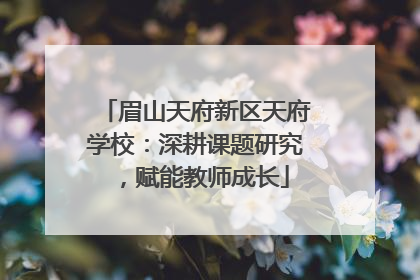 眉山天府新区天府学校：深耕课题研究，赋能教师成长