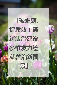 破难题、提质效！通辽法治建设多维发力绘就善治新图景